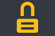 100% Security